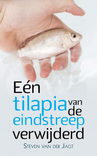 Observaties van een voorzichtige optimist