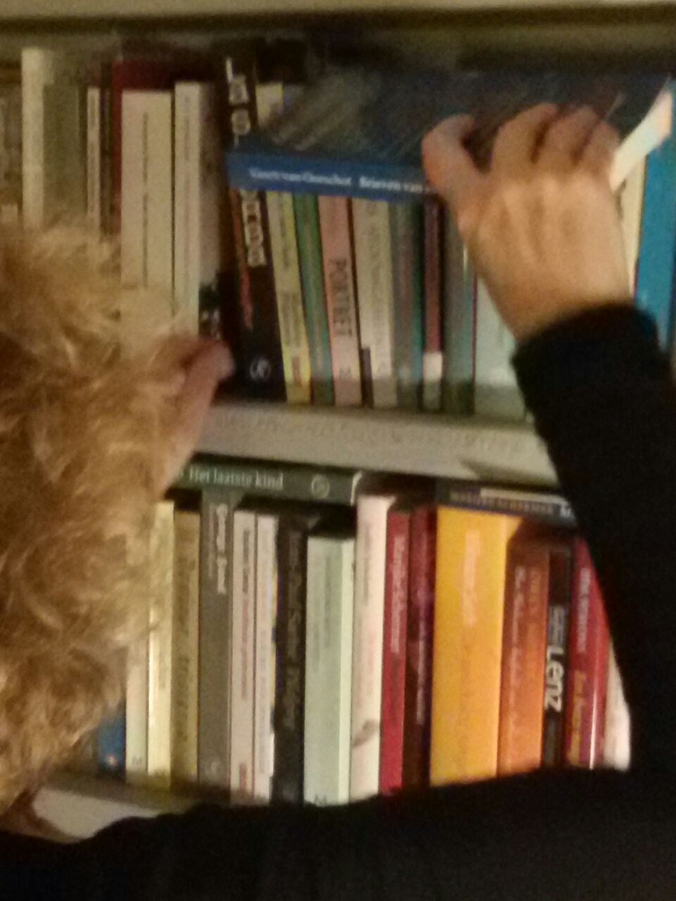 De (on)geschikte jongen