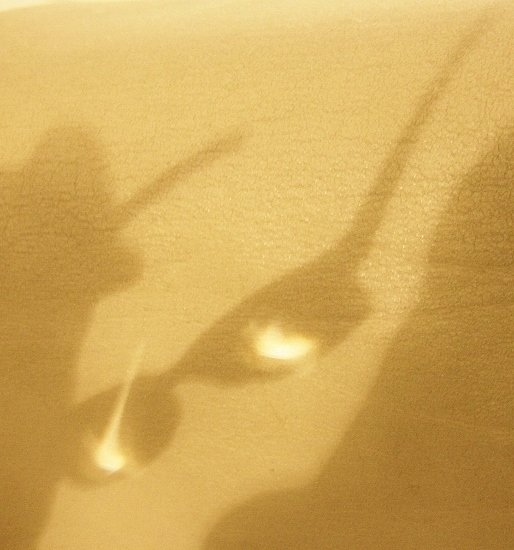 De bril van de recensent