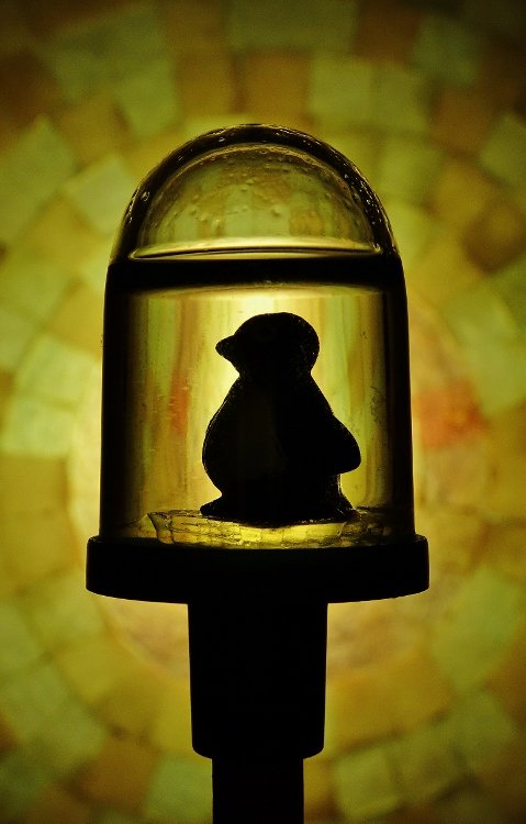 Ik ben geen Murakamista