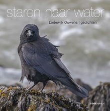 Staren naar water