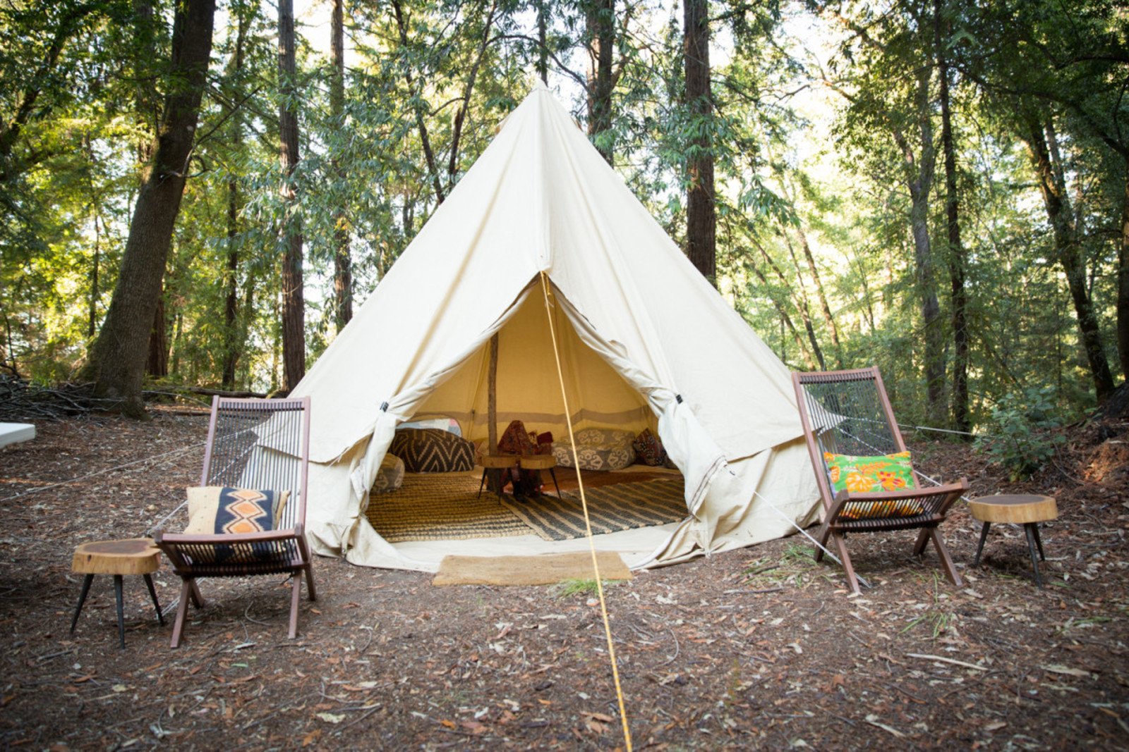 Dikke pil of dichtbundel