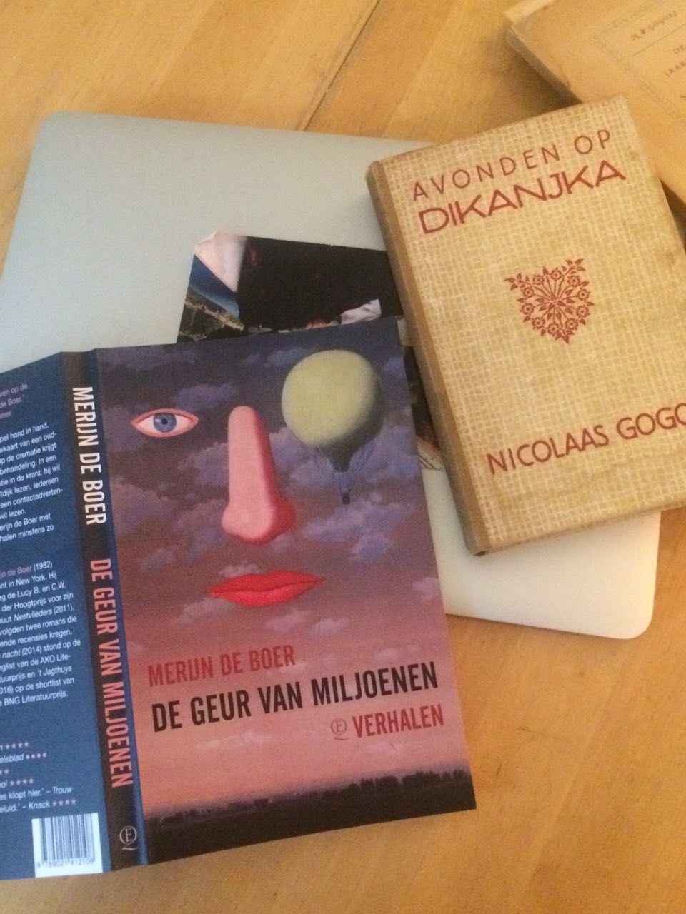 Merijn de Boer lezen