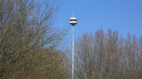Nieuwjaar