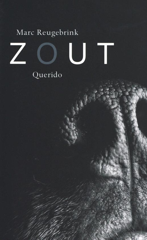 Een verhaal vol ‘goed ontsporende zinnen’