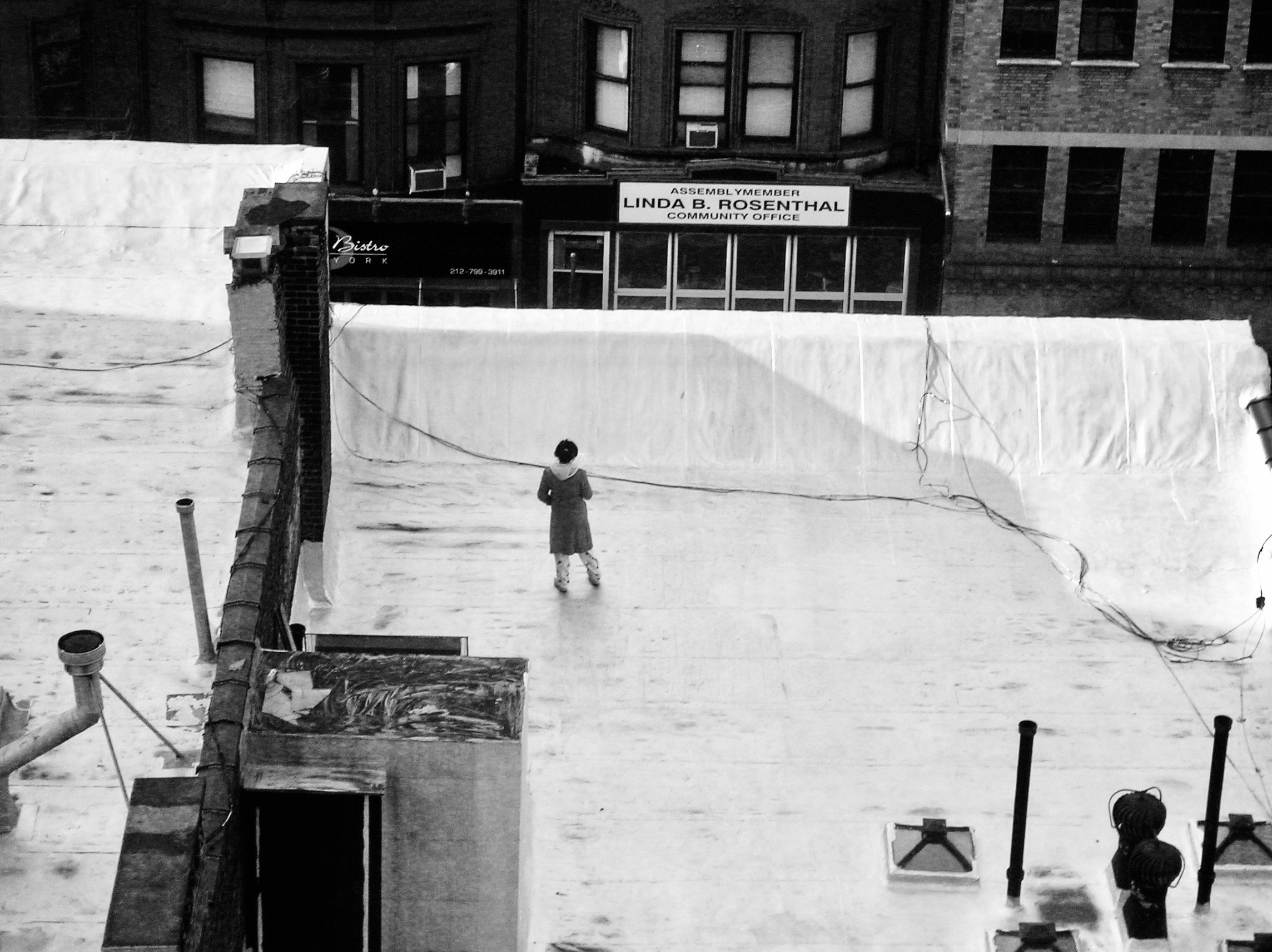 Fotosynthese 9 – Het dak op