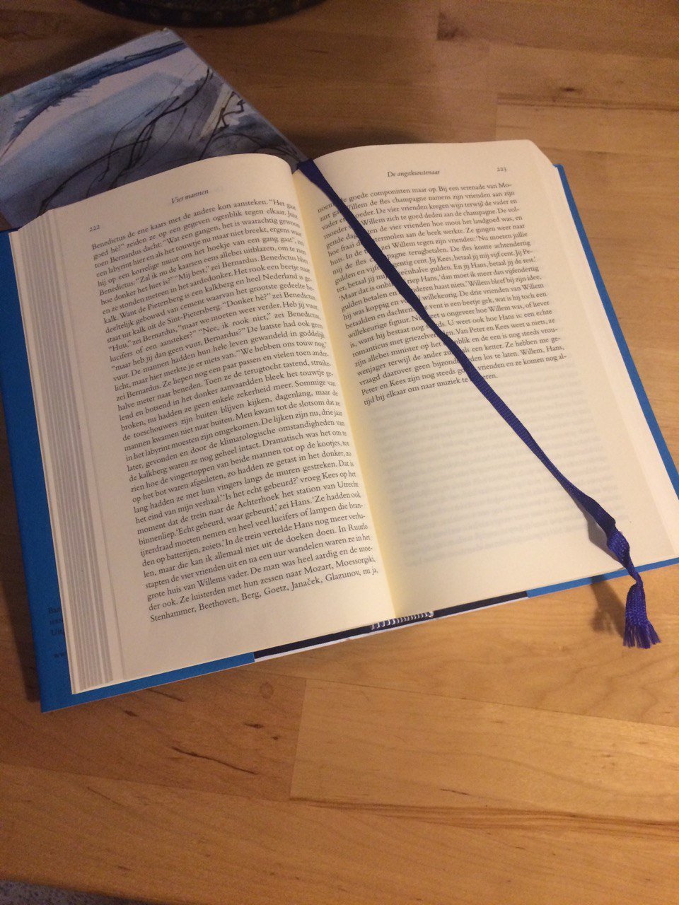 Tomaten en Biesheuvel