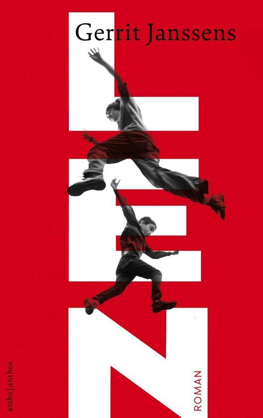 Roman over een jonge voetballer en een moeilijke broer