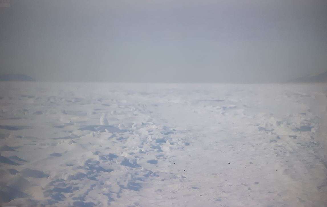 Fotosynthese 25 – Gulag