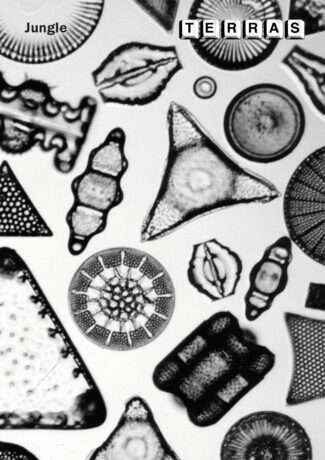 Geweldig boekwerk, informatief, ter verpozing en meer willen lezen