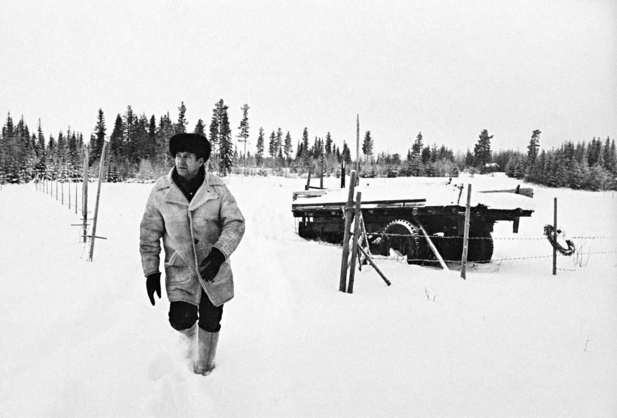 Acht dodelijke schoten