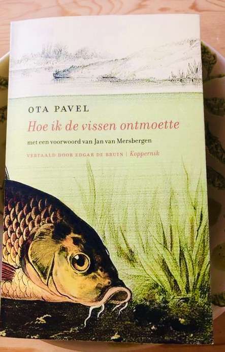 Wonderschone verhalen