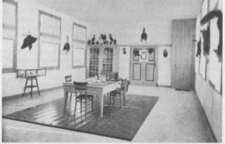 Fotosynthese 31 – Verloren boek