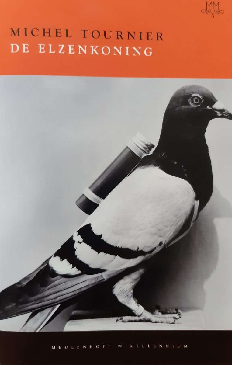 De elzenkoning van Michel Tournier