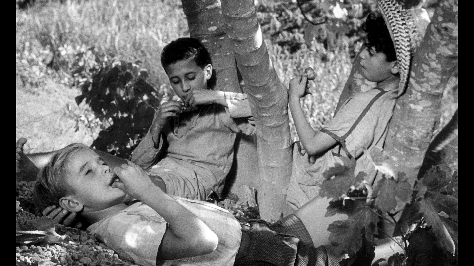 De pijn van het afscheid