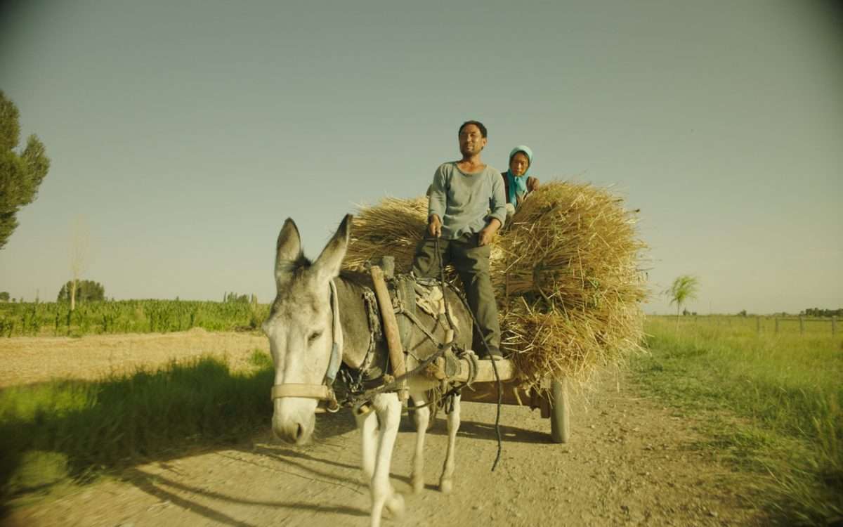 Het belang van ‘nee’ zeggen