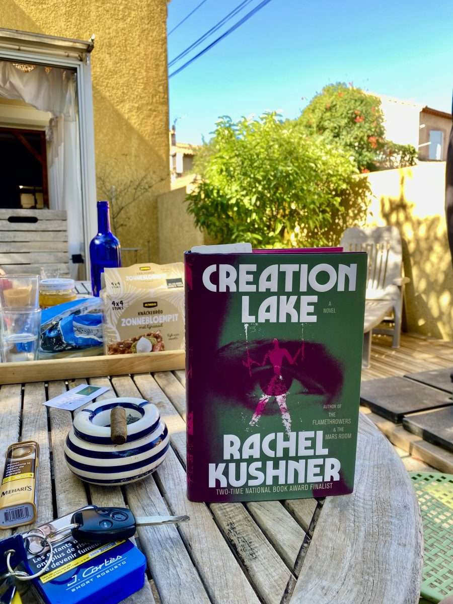 Ideeënroman gesitueerd op het Franse platteland