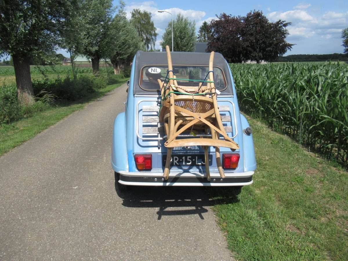 Verstandsverbijstering